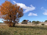 Oppidum de Jastres