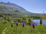 Lacs et Marais de Saint Jean de Chevelu