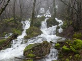 Source du Moulin