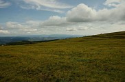 Paysage