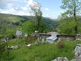 Frutgères