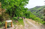 Champdomergue