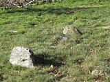 Chemin de mémoires