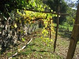 Chemin de mémoires