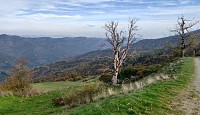 Col Salidès