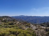 Le col