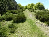 Draille de Cabrillac