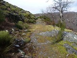 Chemin de Massevaques / Rousses