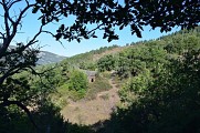 Clède
