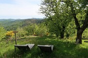 Sentier de la châtaigneraie
