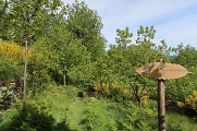 Sentier de la châtaigneraie