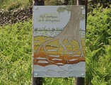 Sentier de la châtaigneraie