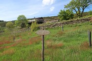 Sentier de la châtaigneraie