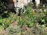 Le parc Rochegude