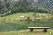 La "gouille" de Rosuel