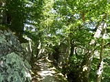 Les gorges du Bès
