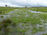 La Narse de Lascols