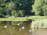 Le Lac de la Crégut