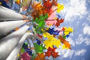 L'Arbre multi couleurs de Philippe Million