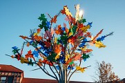 L'Arbre multi couleurs de Philippe Million