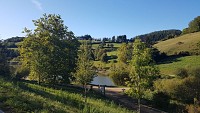 Yzeron : Du crêt de la Madone au col des Brosses