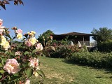 Roseraie des Pommiers