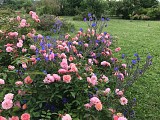 Roseraie des Pommiers
