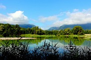 Marais de l'Etournel, ENS de l'Ain