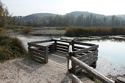 Marais de l'Etournel, ENS de l'Ain