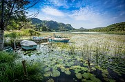 Lac de Barterand, ENS de l'Ain