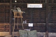 LES TROTTEURS DE VINCENNES