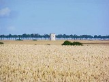 Ruines du moulin de Montlouet