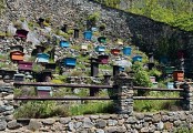 La Brigue - Boselia