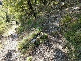 Sentier en forêt