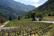 Vue du vignoble
