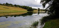 Sain-Bel - GR® du Pays 'Coteaux du Lyonnais'