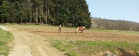 agriculture locale