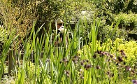 Jardin botanique