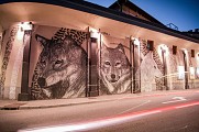 Fresque : Les loups
