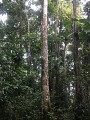 La trace de la rivière Quiock