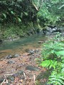 La trace de la rivière Quiock