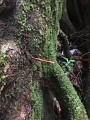 La trace de la rivière Quiock