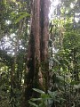 La trace de la rivière Quiock