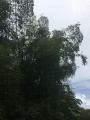 La trace de la rivière Quiock