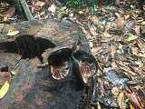 La trace de la rivière Quiock