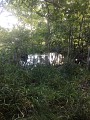 La boucle de Terre-de-Bas