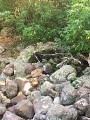 La boucle de Terre-de-Bas