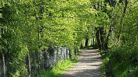 Chemin