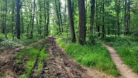 Plateau de Méginand
