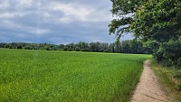 Plateau de Méginand